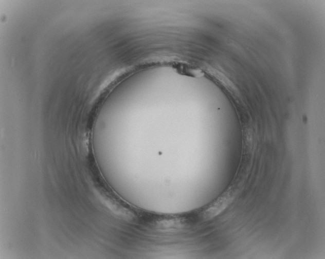 X0000070430160200606302135