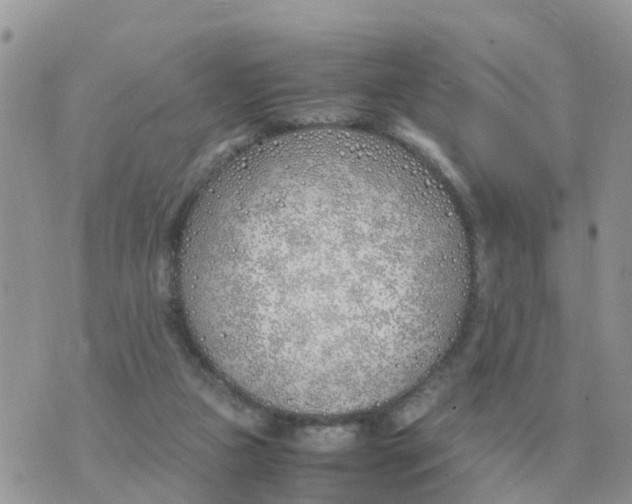 X0000070430161200606302135