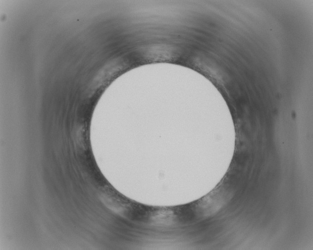 X0000070430162200606302135