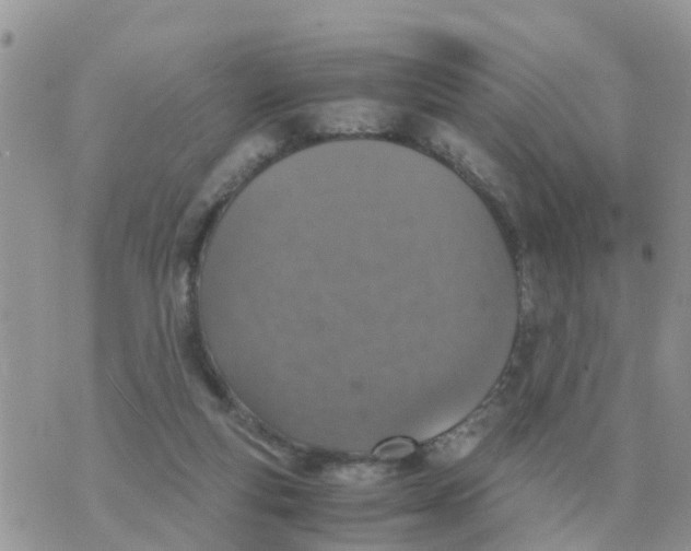 X0000070430163200606302135