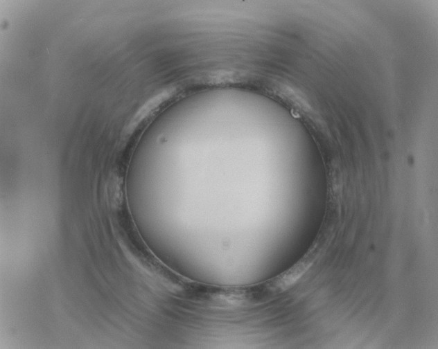 X0000070430164200606302135