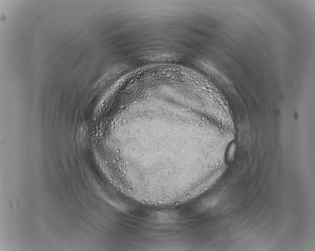 X0000070430165200606302135