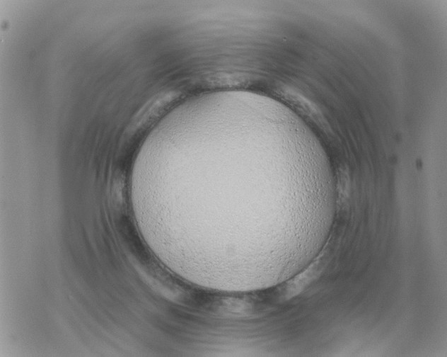 X0000070430166200606302135