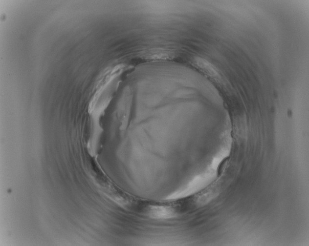 X0000070430167200606302135