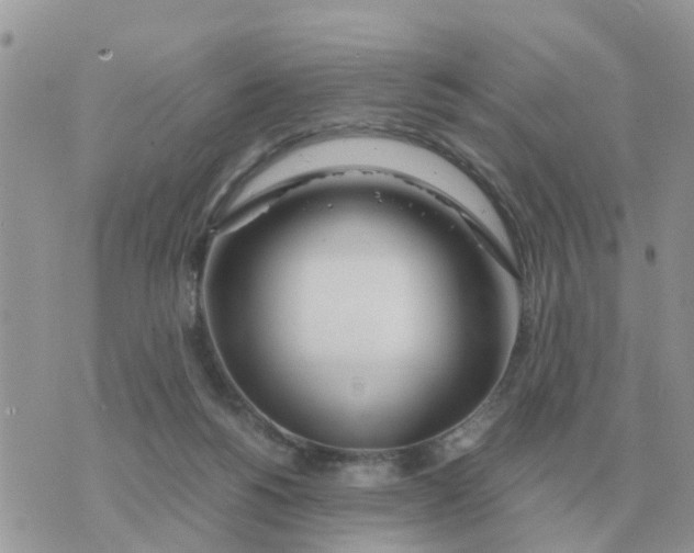 X0000070430168200606302135