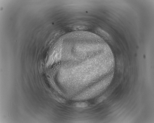 X0000070430169200606302135