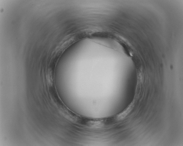 X0000070430170200606302135