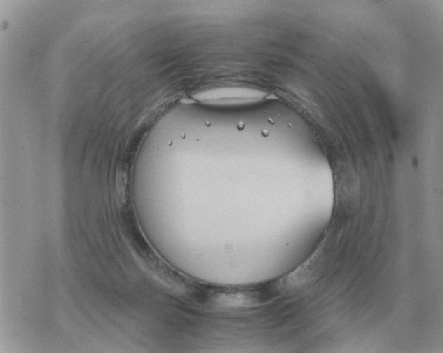 X0000070430171200606302135