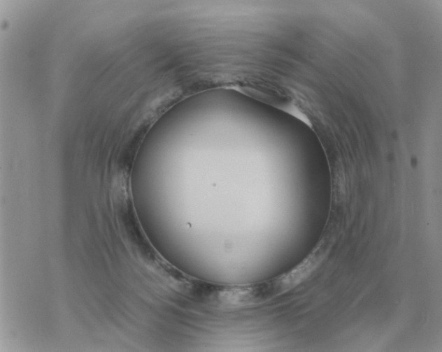 X0000070430172200606302135