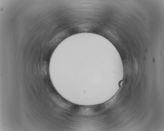 X0000070430174200606302135