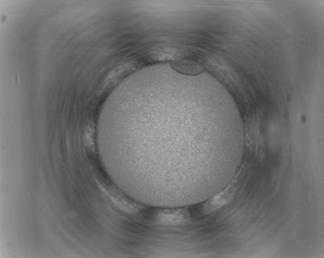 X0000070430175200606302135