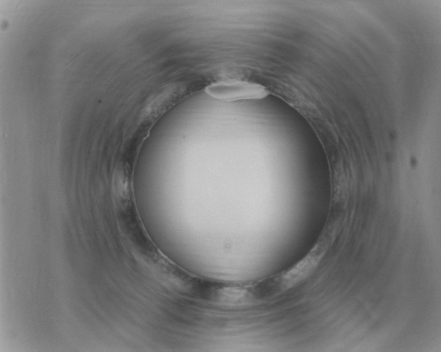 X0000070430176200606302135