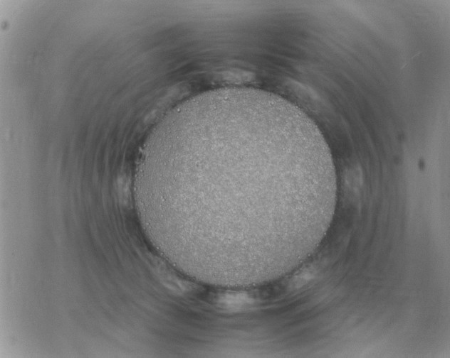 X0000070430177200606302135