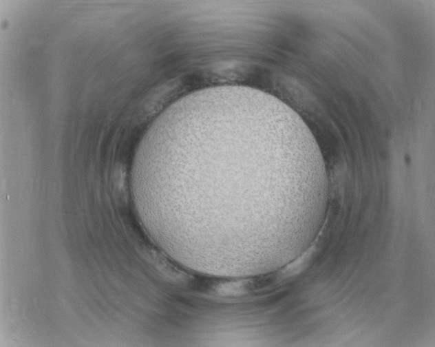 X0000070430178200606302135