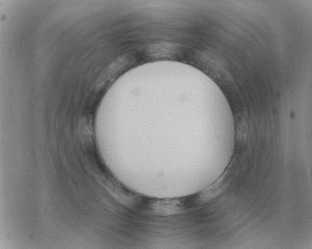 X0000070430179200606302135