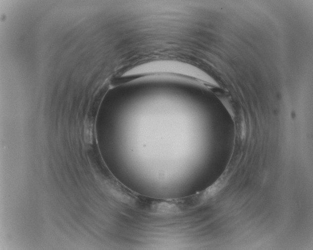 X0000070430180200606302135