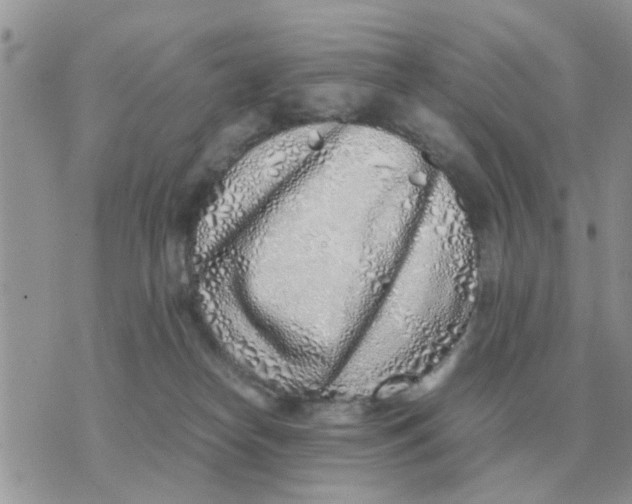 X0000070430182200606302135