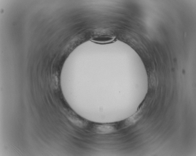 X0000070430183200606302135