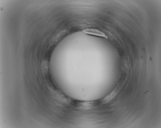 X0000070430184200606302135