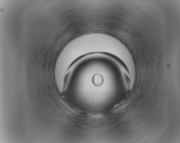 X0000070430185200606302135