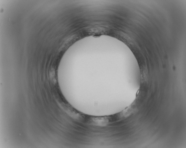 X0000070430187200606302135