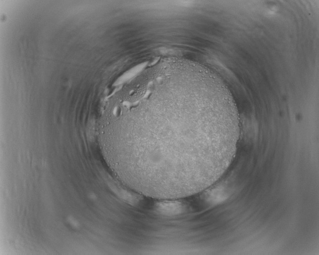 X0000070430189200606302135