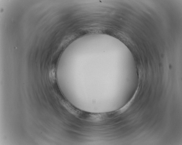 X0000070430190200606302135