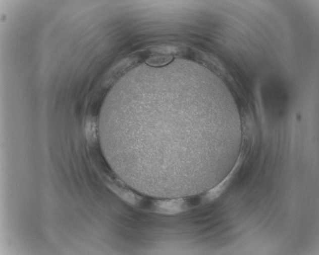 X0000070430191200606302135