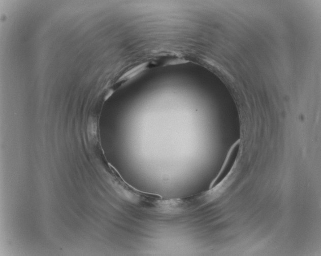 X0000070430192200606302135