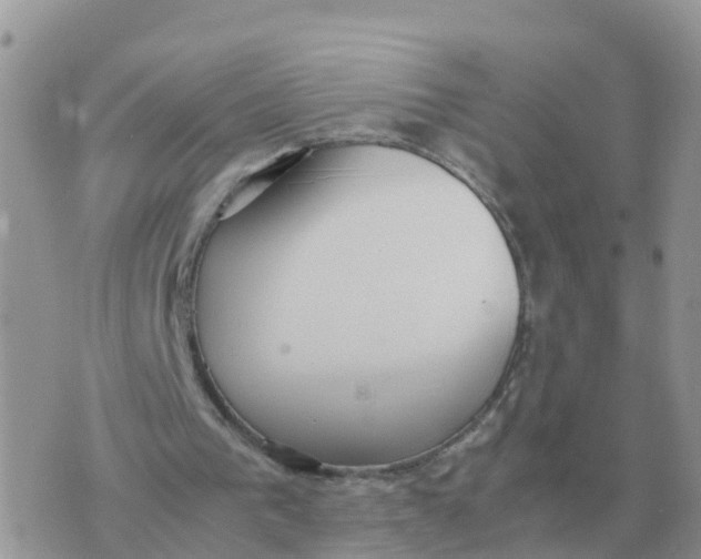 X0000070430193200606302135