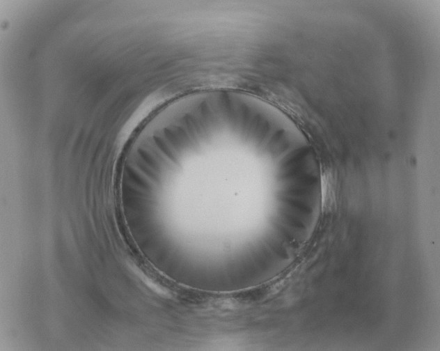 X0000070430195200606302135