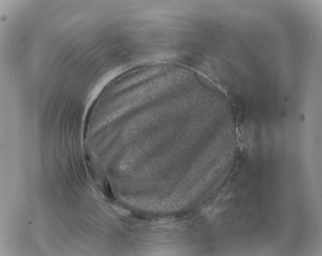 X0000070430196200606302135