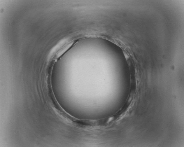 X0000070430197200606302135