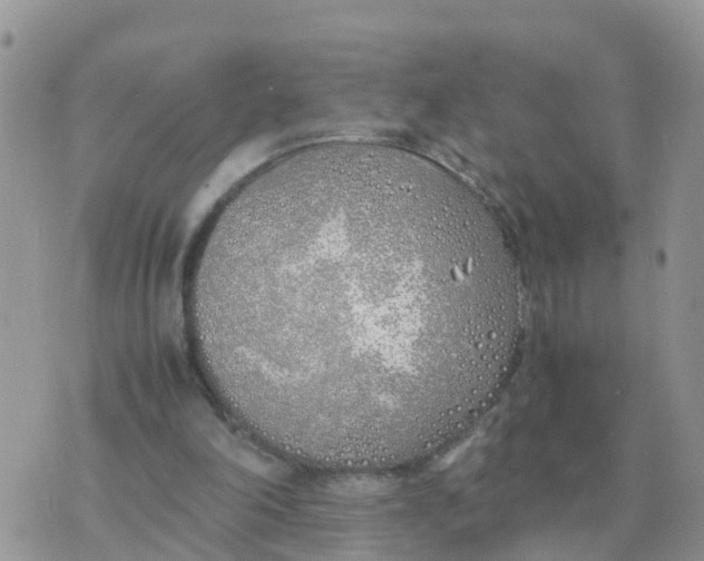 X0000070430198200606302135