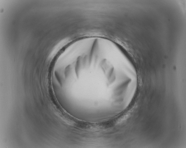 X0000070430199200606302135