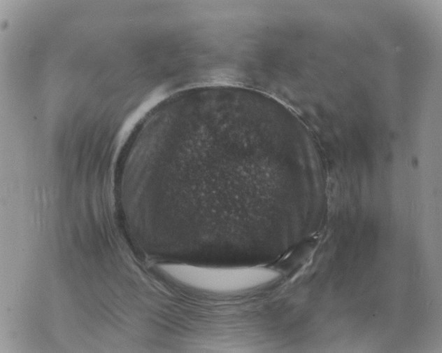 X0000070430200200606302135