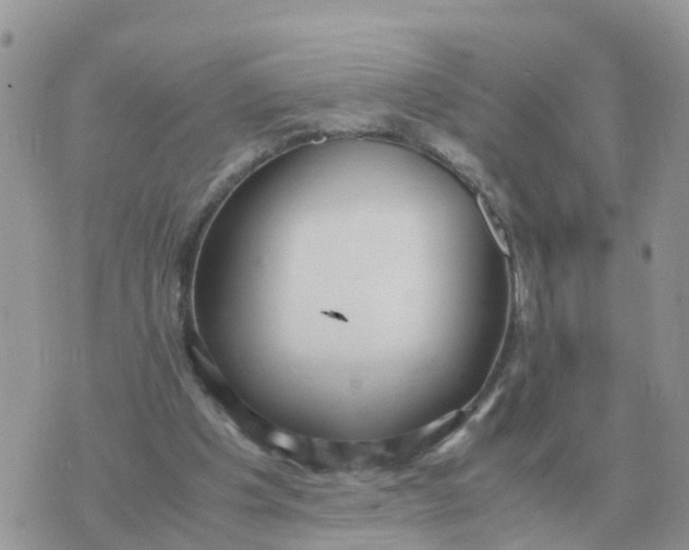 X0000070430201200606302135