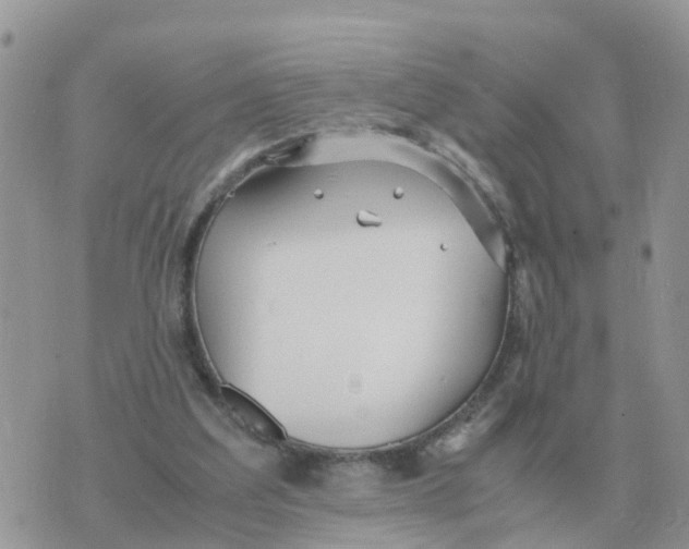 X0000070430203200606302134