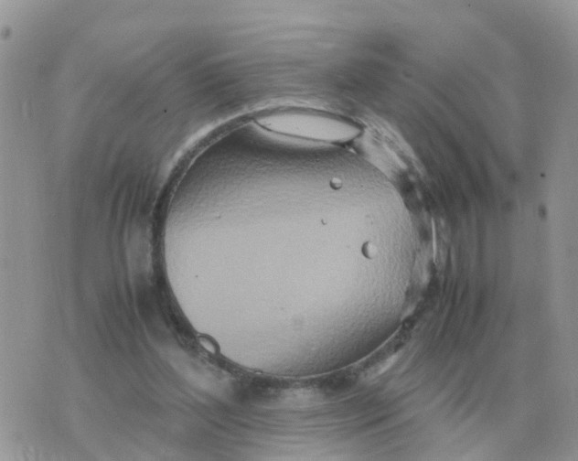 X0000070430204200606302134