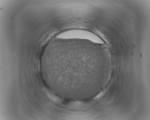 X0000070430205200606302134