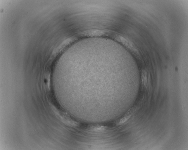 X0000070430206200606302134