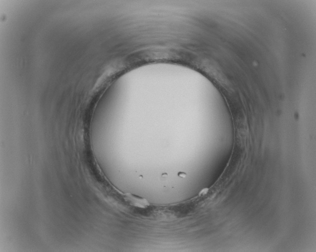 X0000070430207200606302134