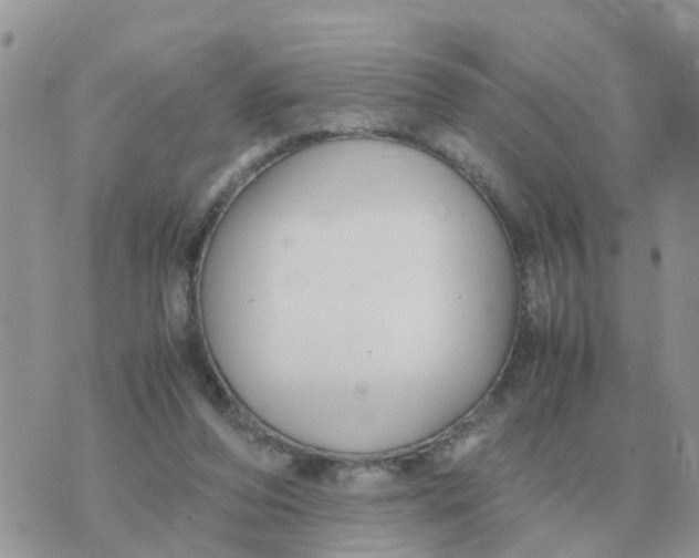 X0000070430208200606302134