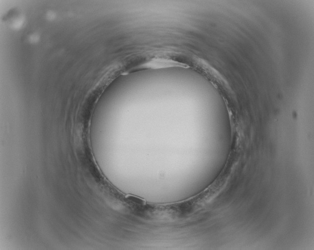 X0000070430209200606302134