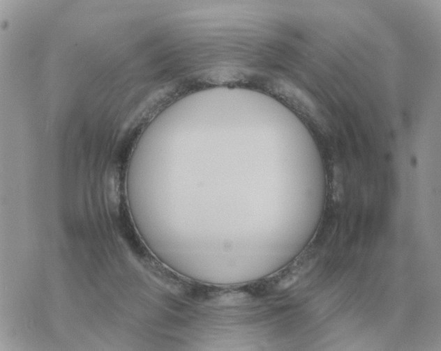 X0000070430210200606302134