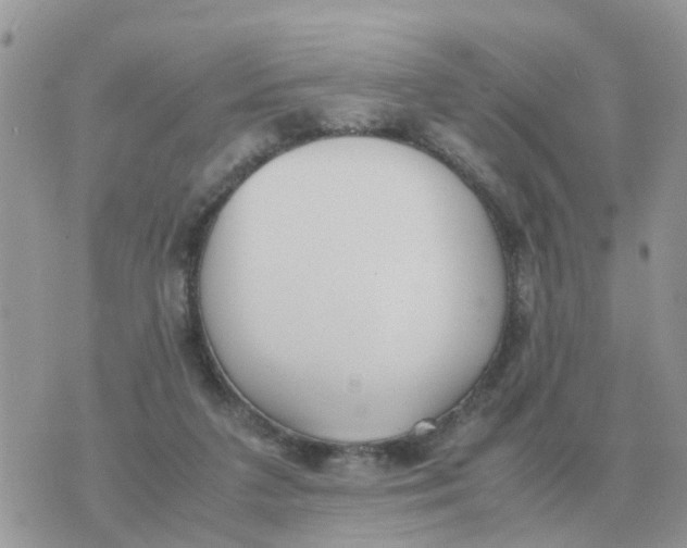 X0000070430211200606302134