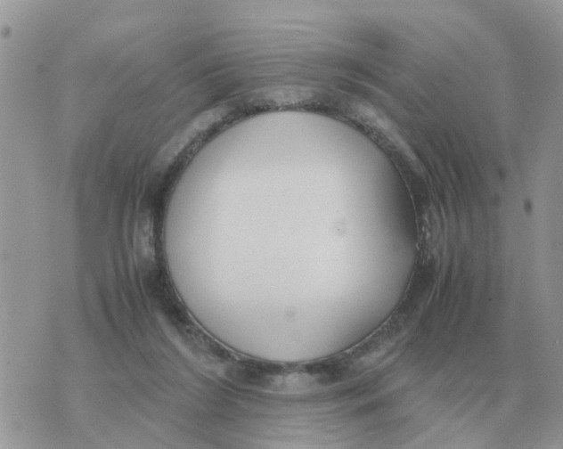 X0000070430212200606302134