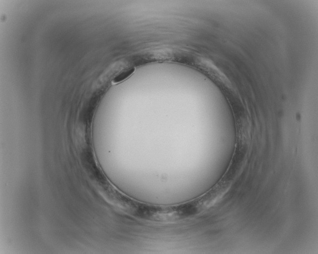 X0000070430213200606302134