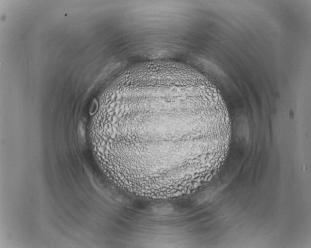 X0000070430214200606302134