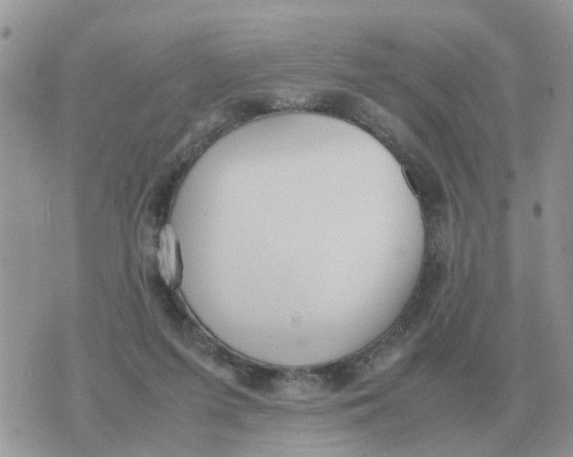 X0000070430215200606302134